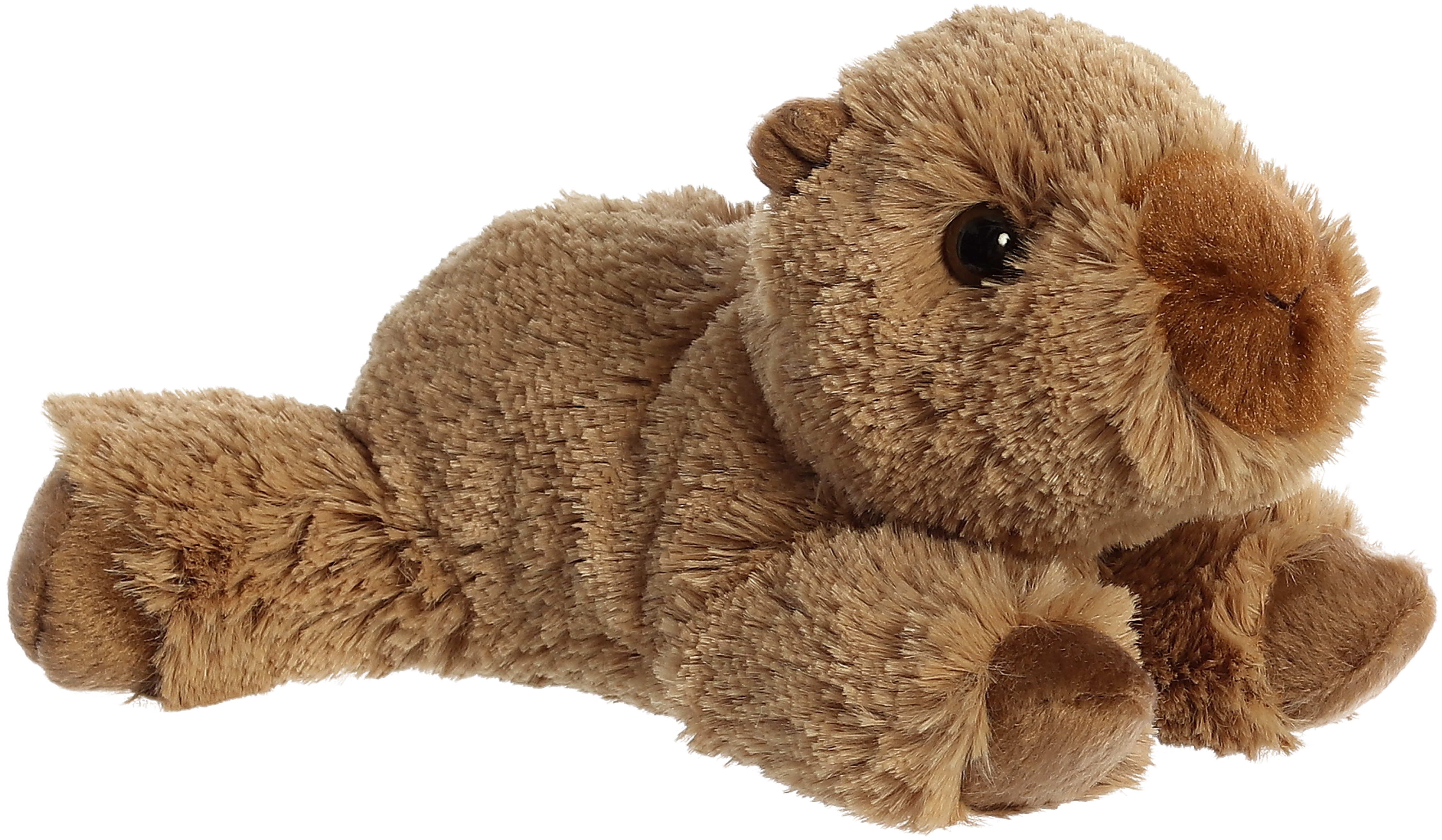 8" Capybara 1