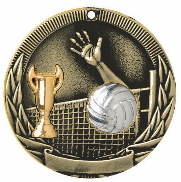 Volleyball Tri-Colored Medal 2" 1