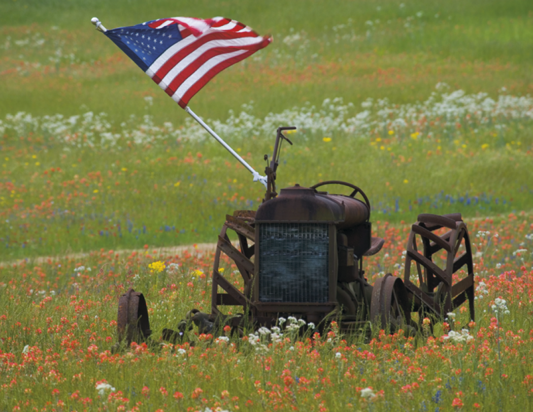 HotLine® Products America Appointment Calendar - Spiral 3