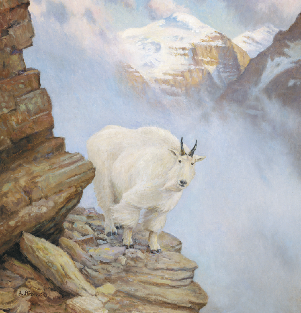 Triumph® Calendars Wildlife Art Calendar 64