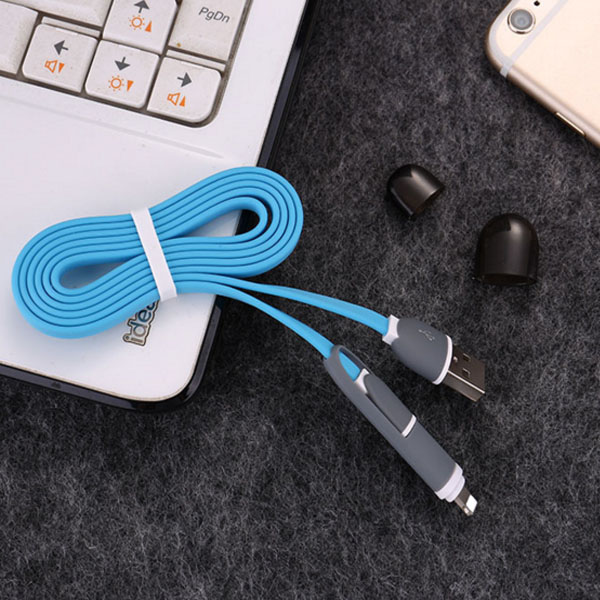 2in1 Micro USB and Lightning Cable 2