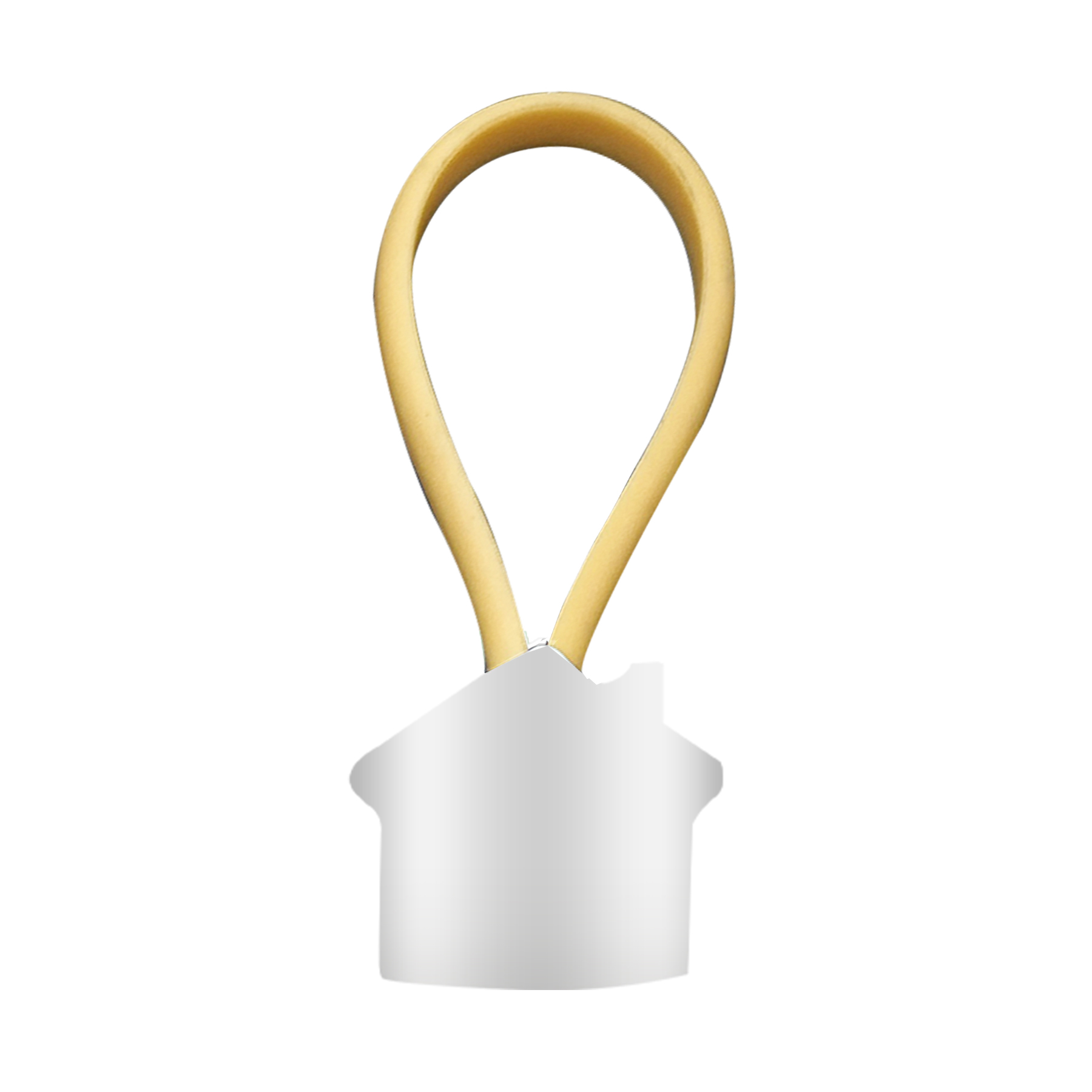 Big House Keychain 5