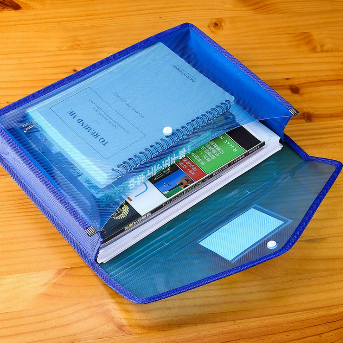 A4 Plastic Button File Folder with Mesh and Label Pocket 4