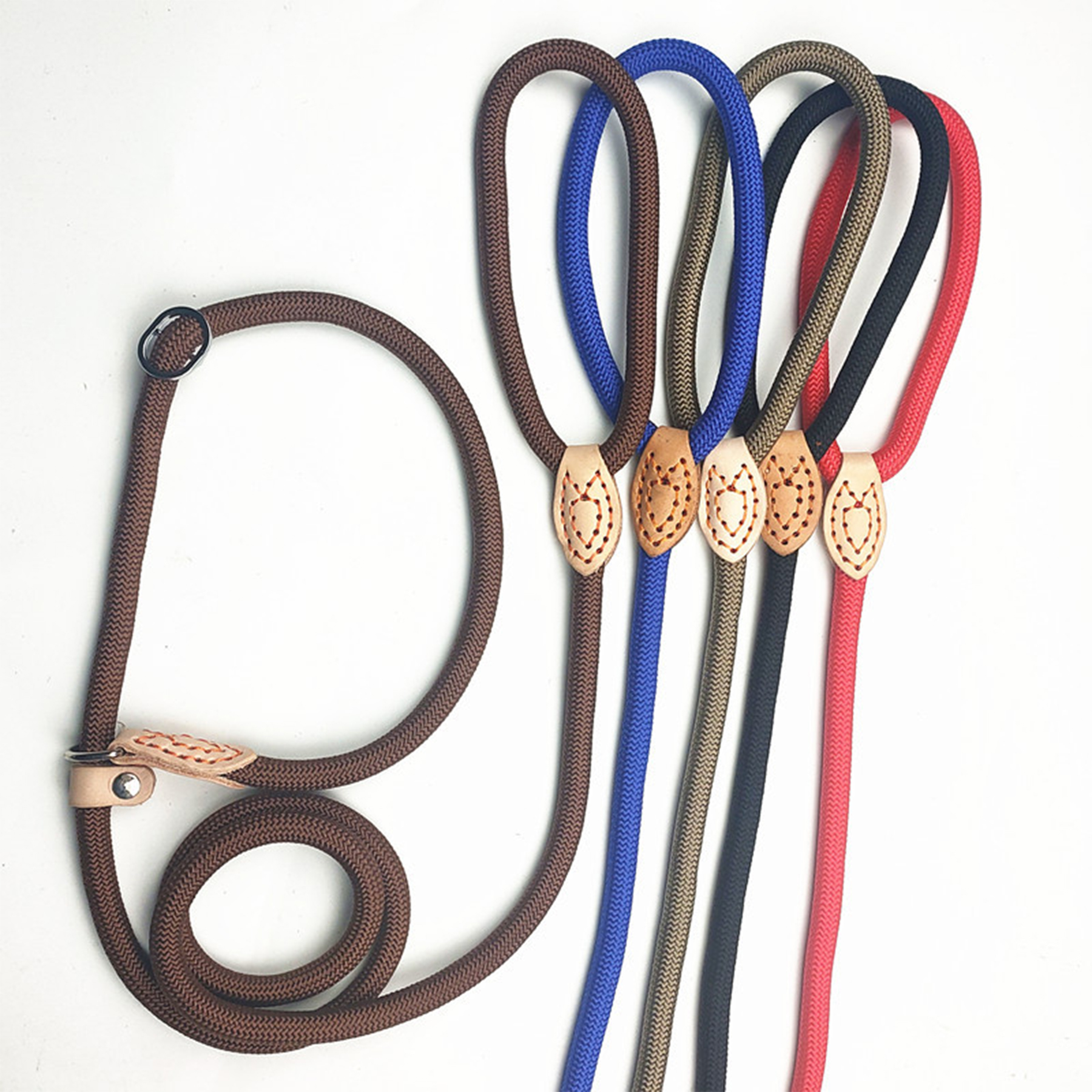 Dog Leash Slip Lead and Snap Hook 2