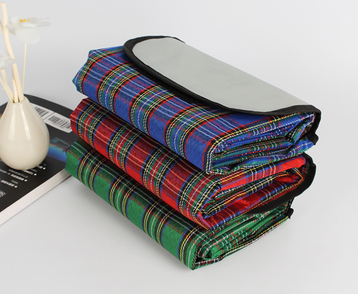 Folding Picnic Mat 1