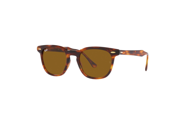 Ray-Ban Hawkeye Sunglasses 1