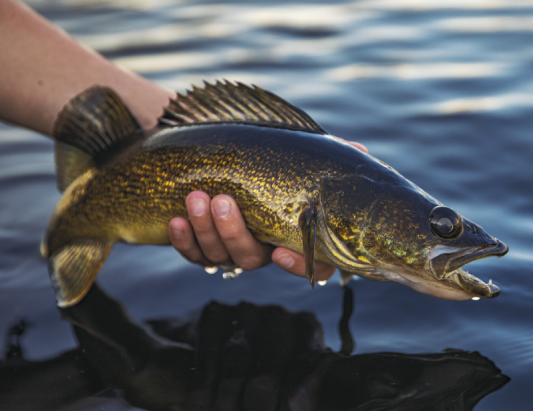 HotLine® Products Fishing Guide Appointment Calendar - Stapled 74