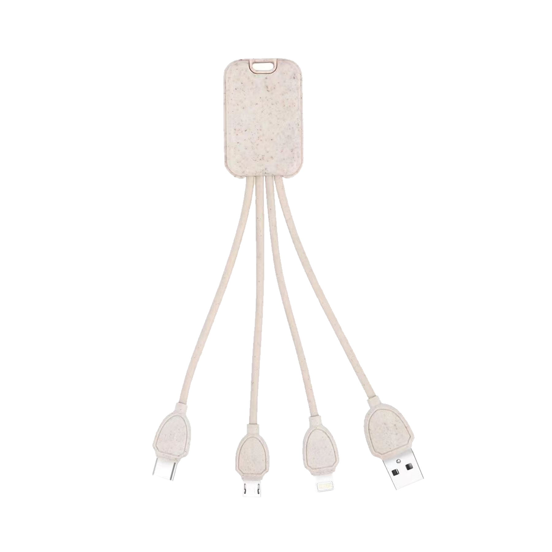 Raneon 3in1 Charging Cable 5