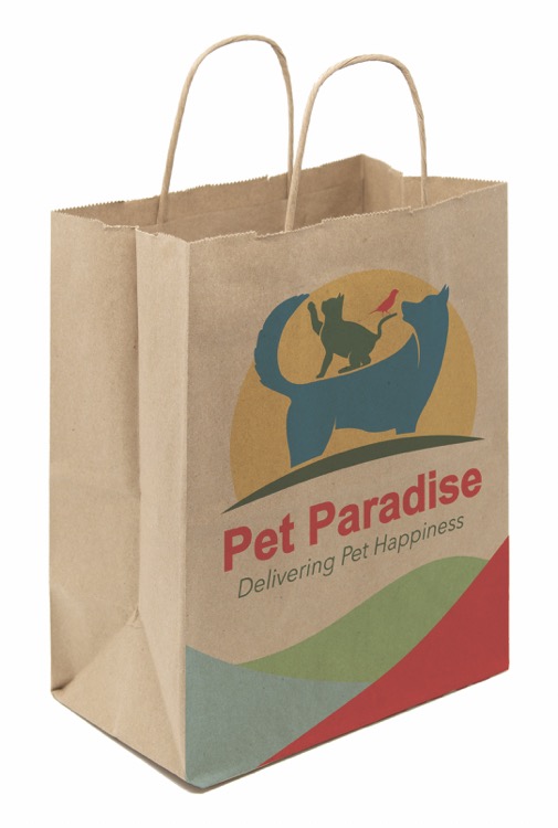 Full Color 1-Sided Natural with Natural Handle Shopper Paper Bags (8"x 10.25"x 5")