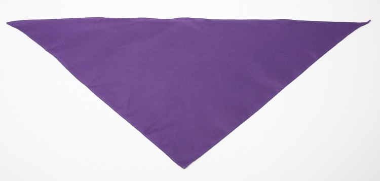 Personalized Large Purple Triangle Pet Bandana
