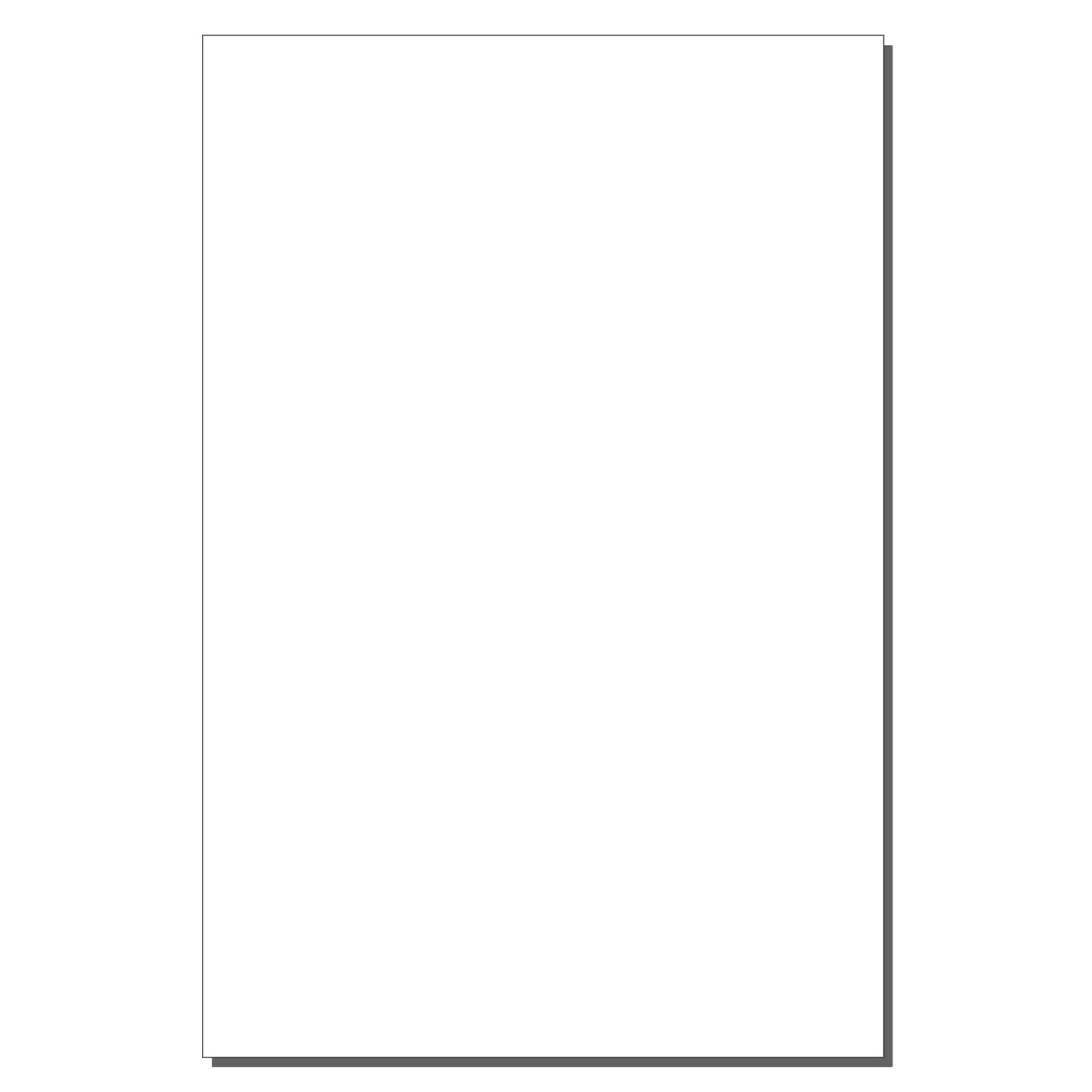 XXL Business Card Magnet 20 Mil 3