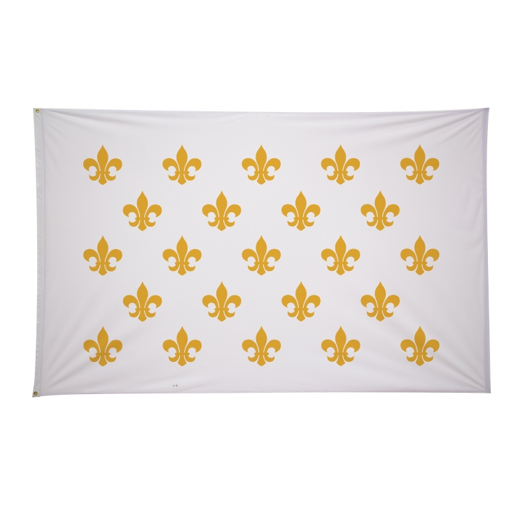 5' x 8' Historical Flags 36