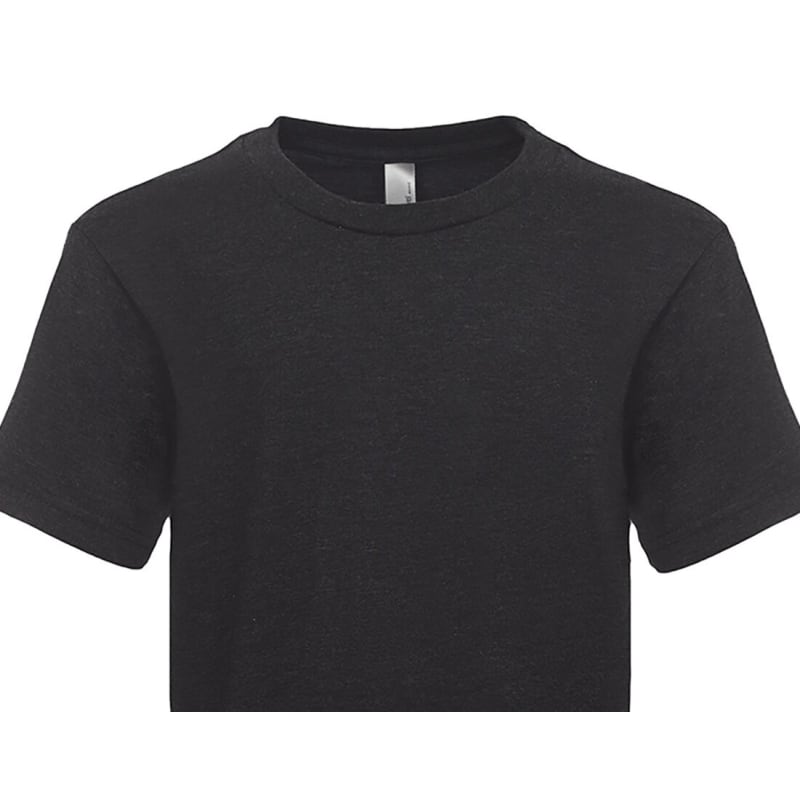 Next Level Apparel Youth Triblend Crew 20
