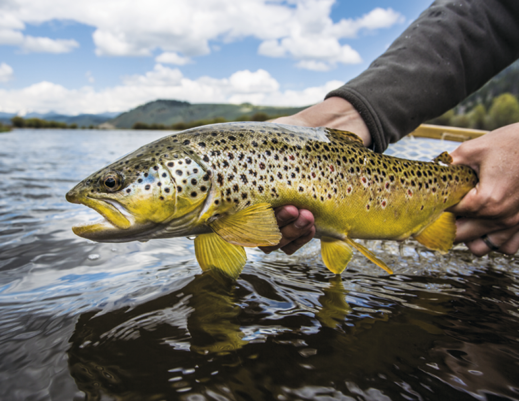 Good Value™ Fishing - Stapled Calendar 41