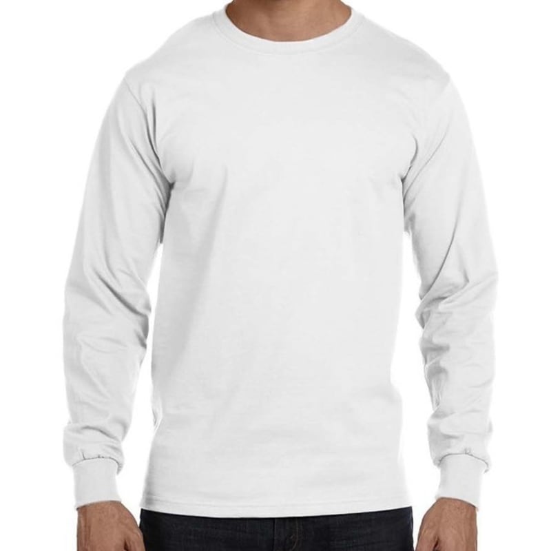 Hanes 5.2 Oz. ComfortSoft® Cotton Long-Sleeve T-Shirt 2