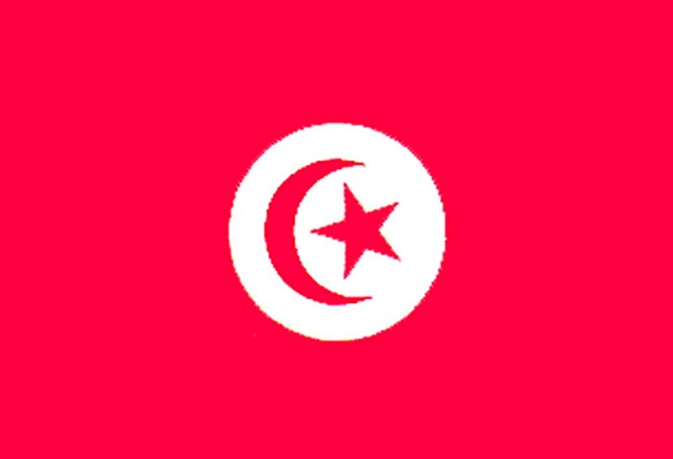 Tunisia Flag - 4' x 6' - Nylon 1