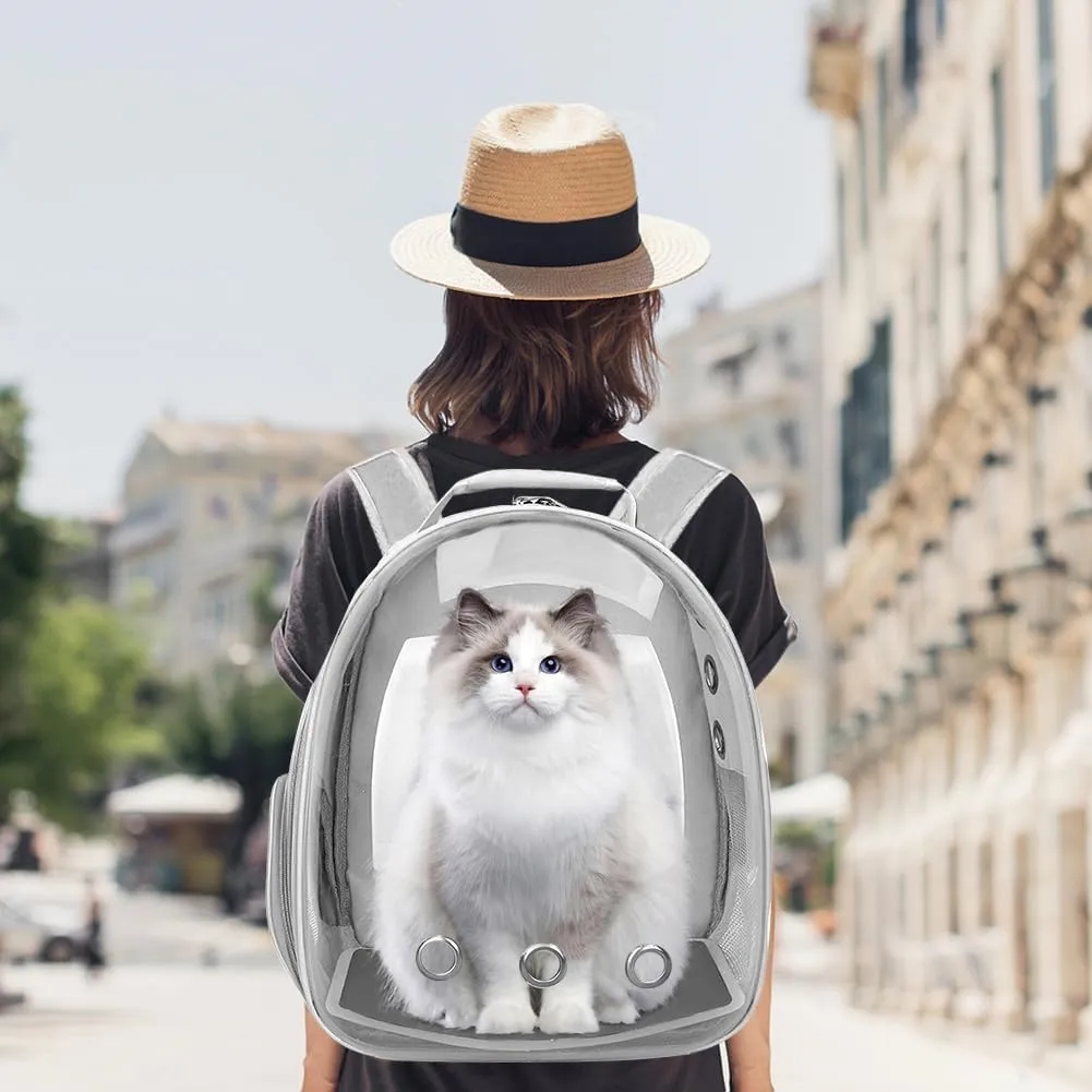 Transparent Space Capsule Pet Carrier 5