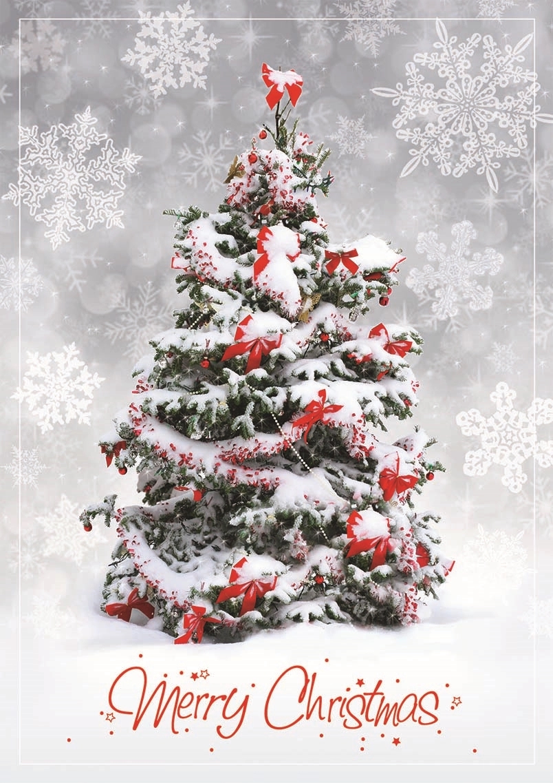 Christmas Surprise Cards 1