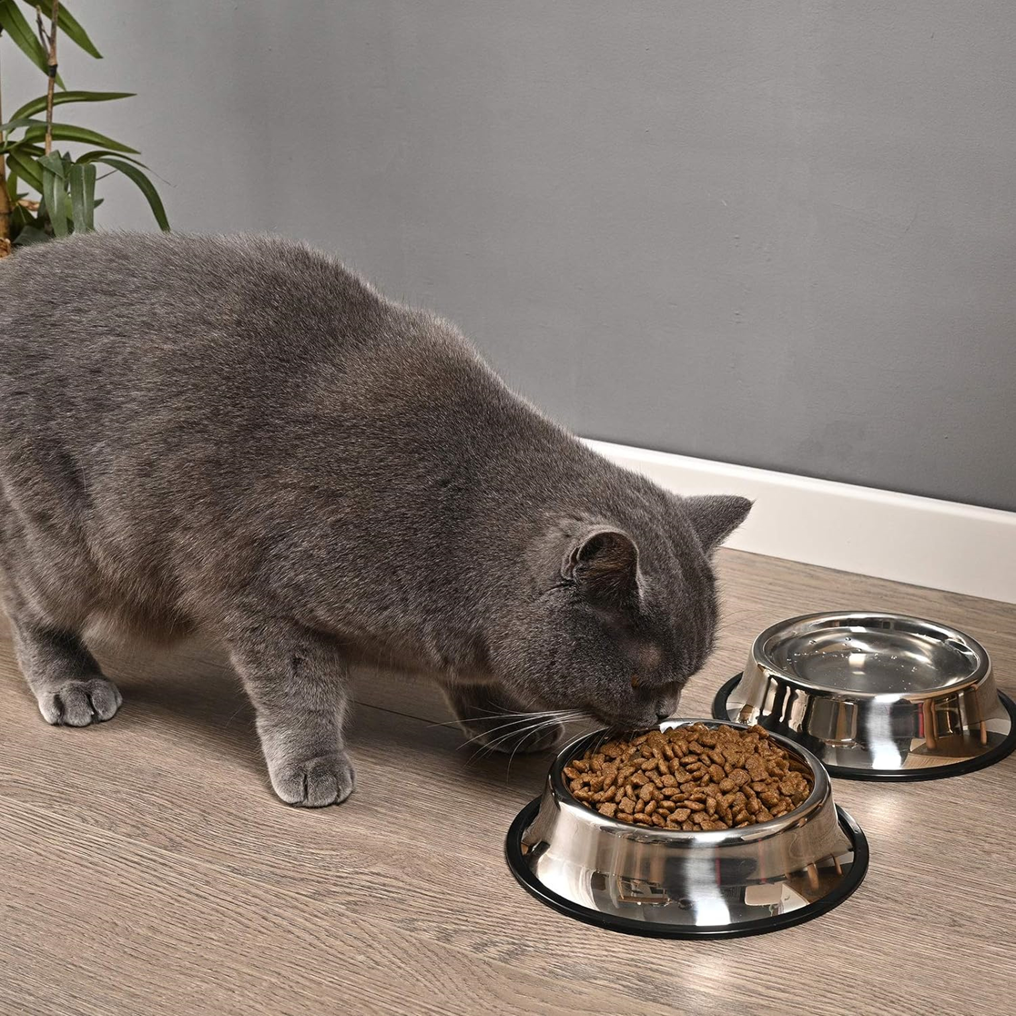 Stainless Steel Dog Bowl With Anti-Skid Rubber Base 3