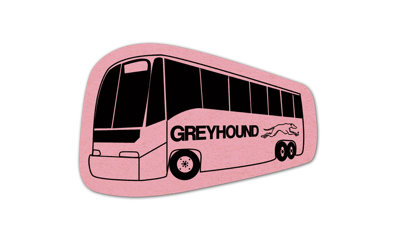 Bus Compressed Sponge 5