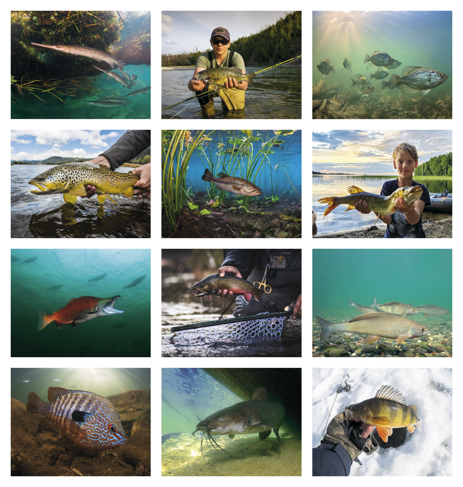 Good Value™ Fishing - Spiral Calendar 51