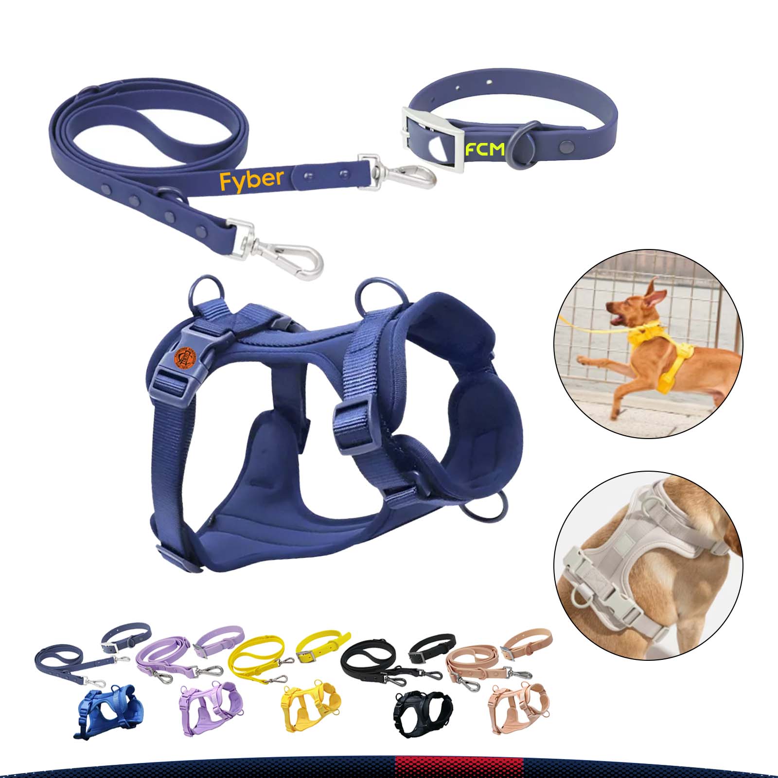 Waterproof Dog Collar Set 1