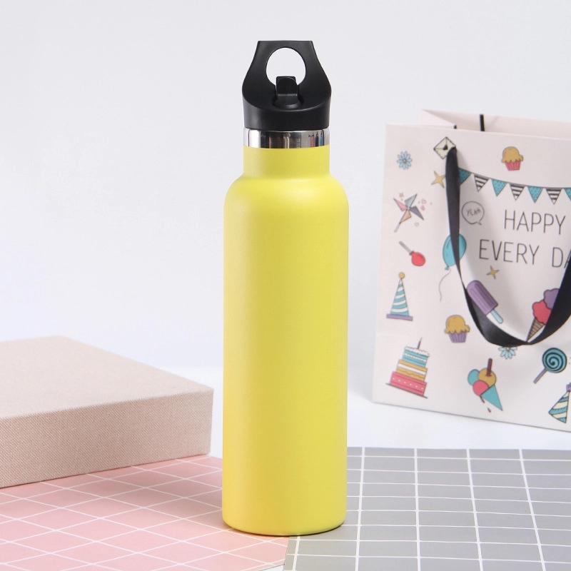 20 oz Stainless Steel Water Bottle w/Straw Lid 17