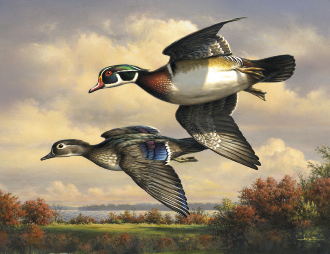 Triumph® Calendars Wildlife Art by the Hautman Brothers Calendar 24