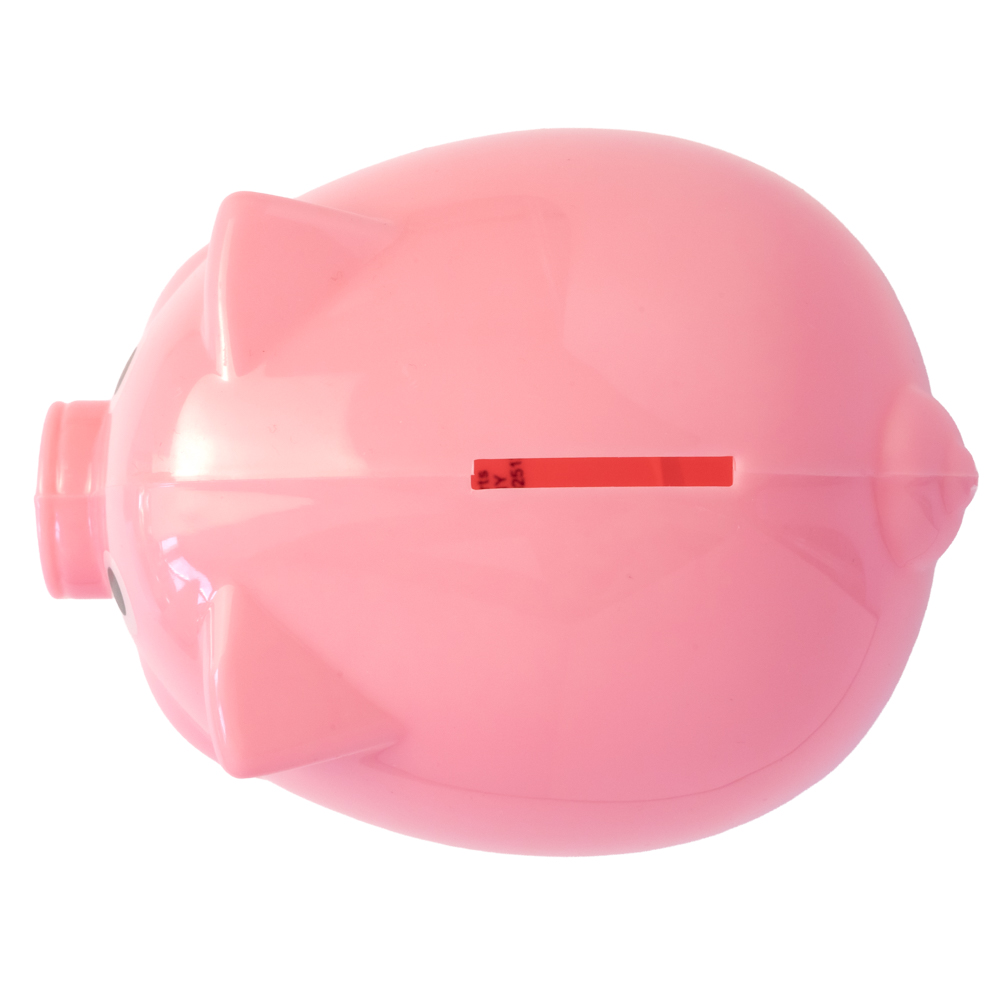 Pig Coin Bank 9