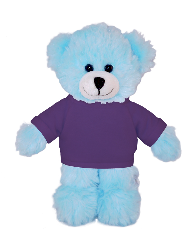 Blue Bear with Tee 11