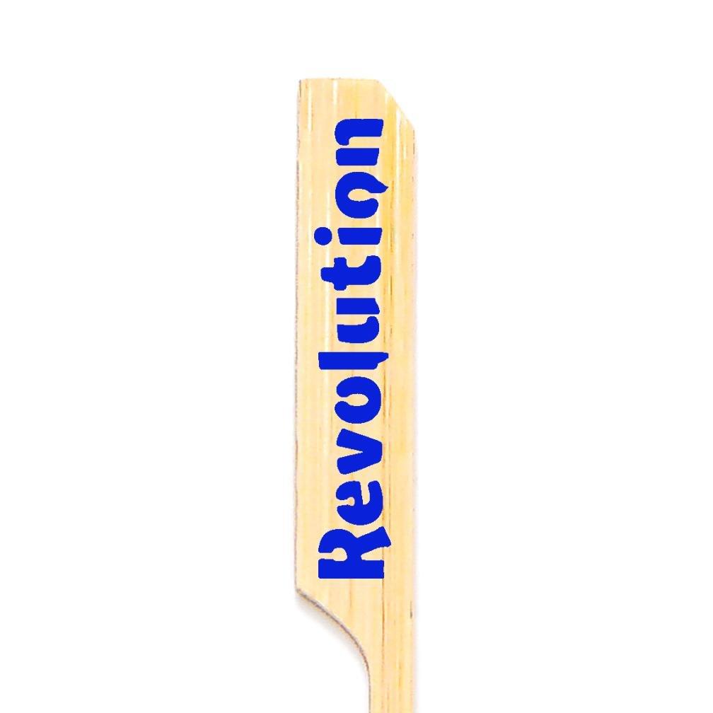 9.5 inch Custom Skewers - Boat Oar Picks - Color Printing 2