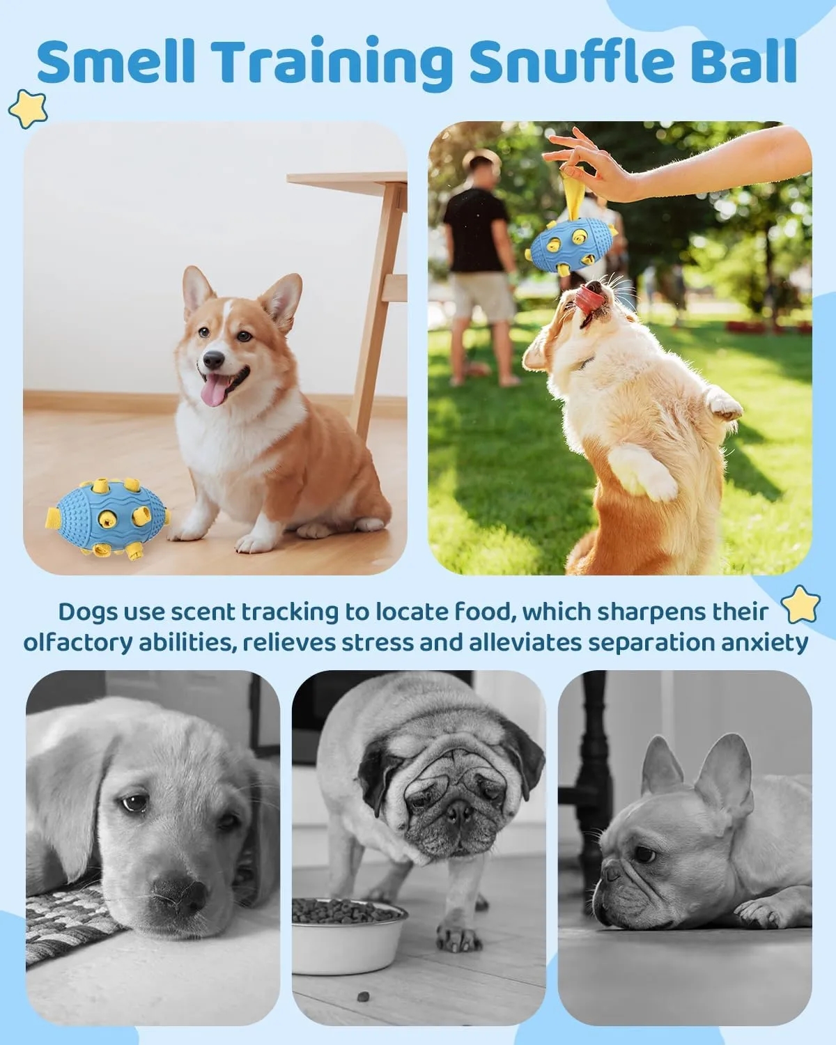 Natural Rubber Interactive Dog Toy 4