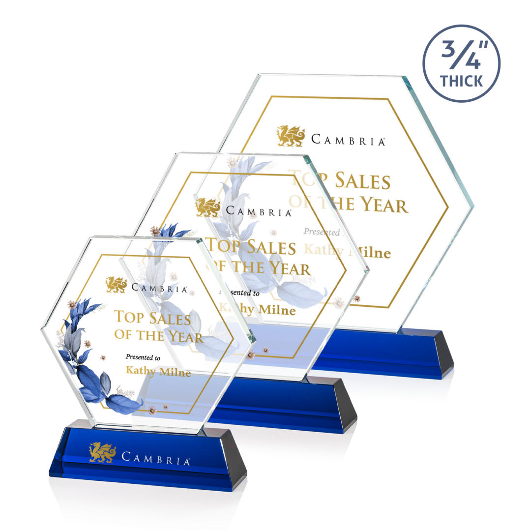 Ralston VividPrint™ Award - Blue 6