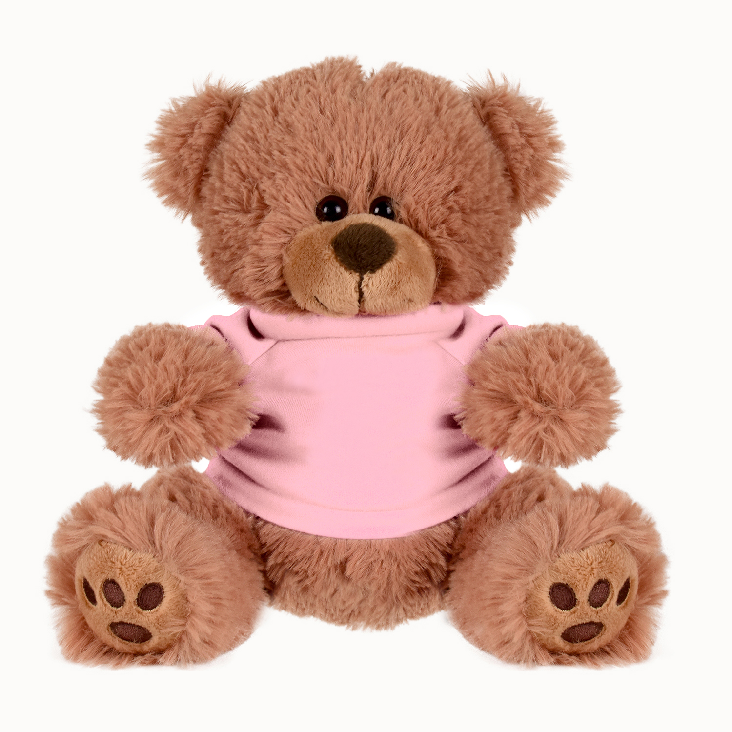 Plush Bear w/ Embroidered Paws and T-Shirt 33