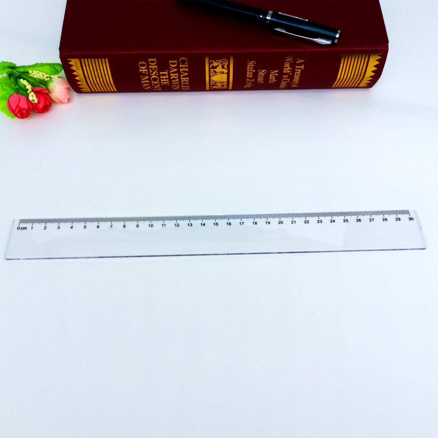 Plastic Clear Ruler 2