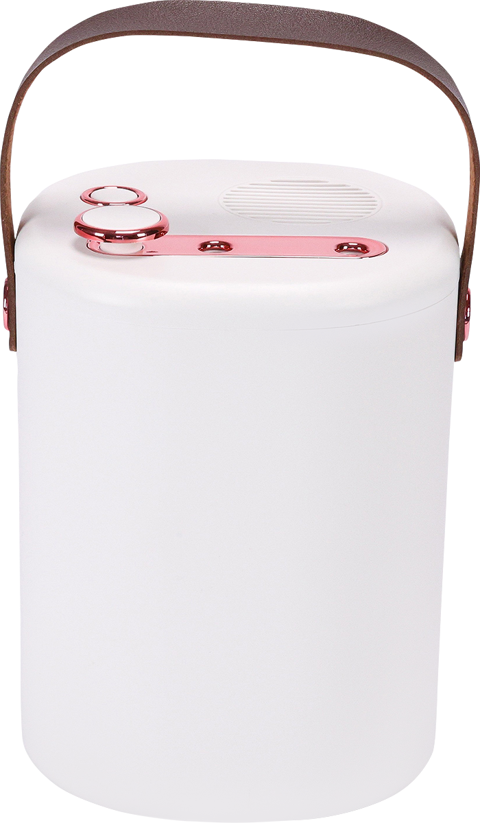 Sealy® Dual Humidifier 29