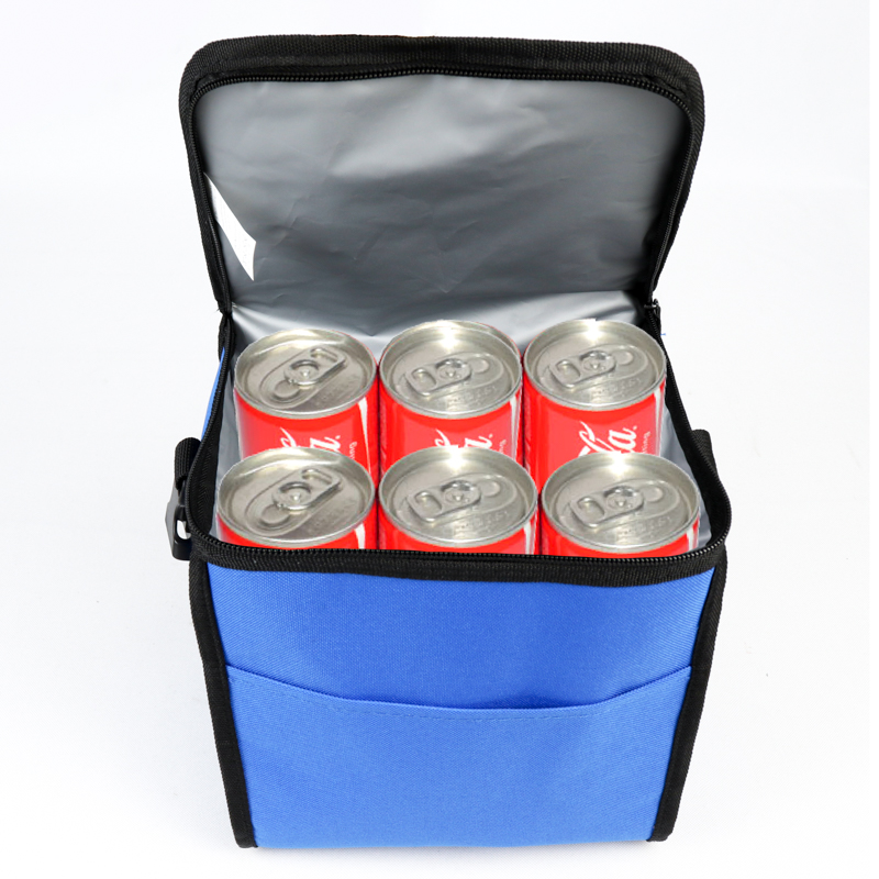 INSULATED LUNCH BAG 10