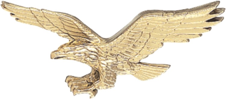 Small Eagle Plaque Mount 2