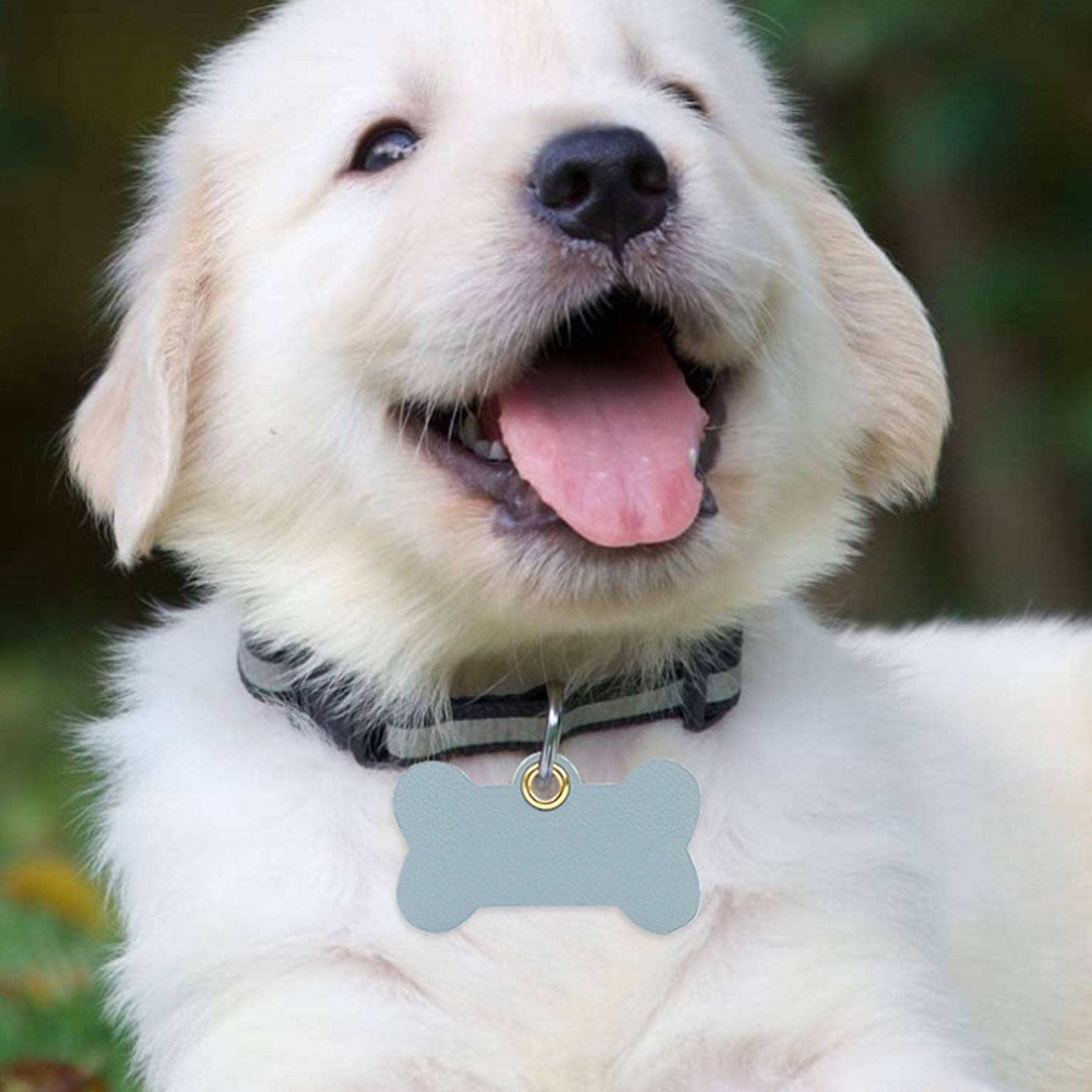 PU Leather pet identification name tag 9