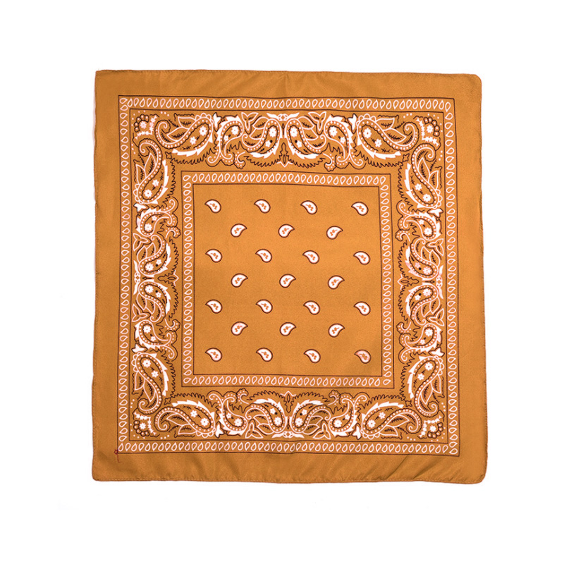 Bandanna 2