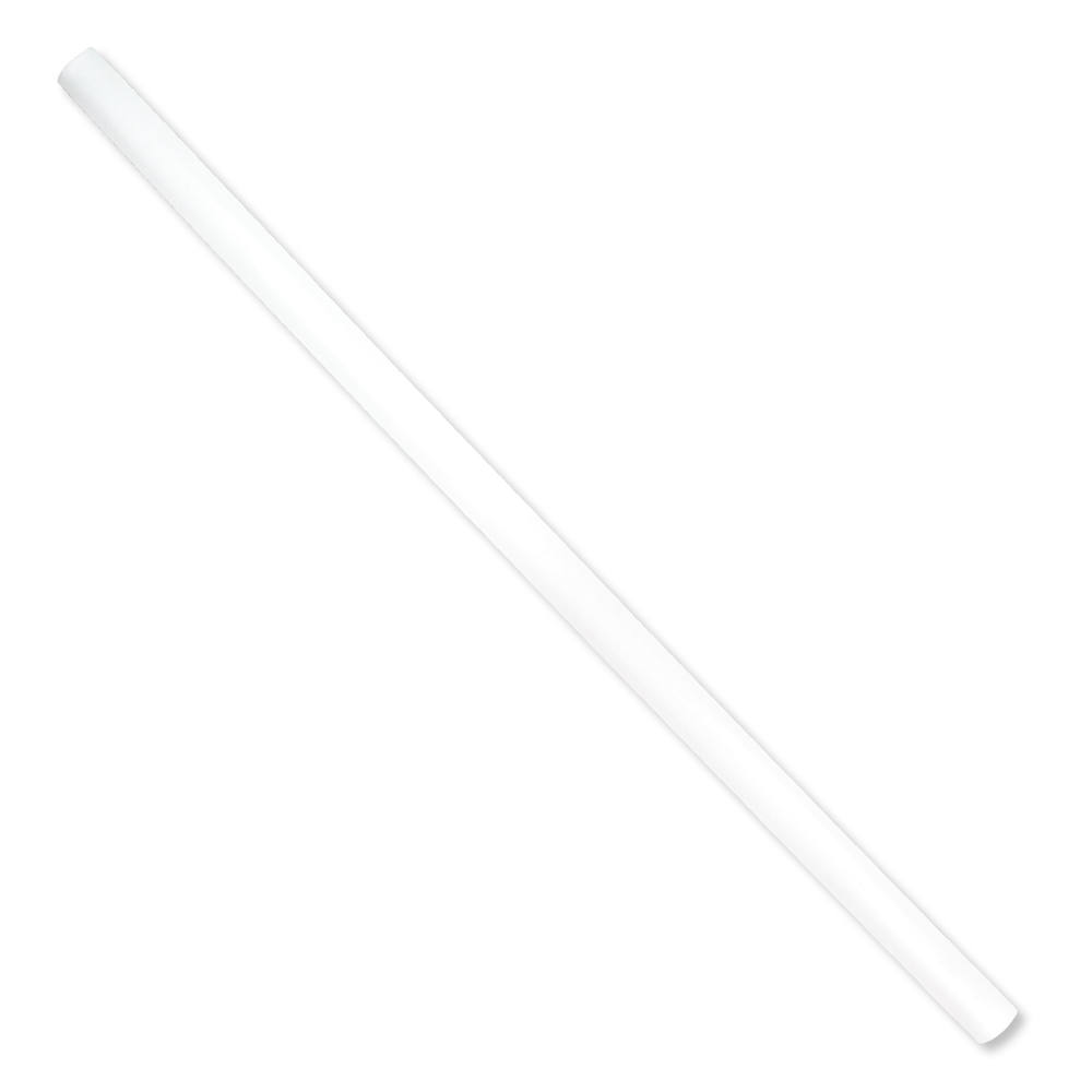Reusable Standard Straw, Blank 1