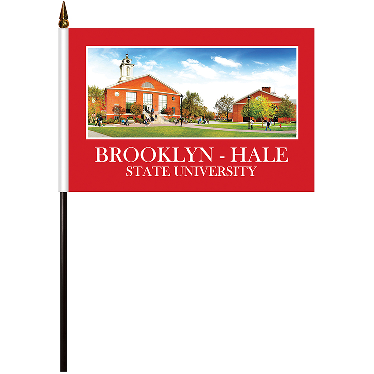6" x 9" Single Reverse Polyester Stick Flags 13
