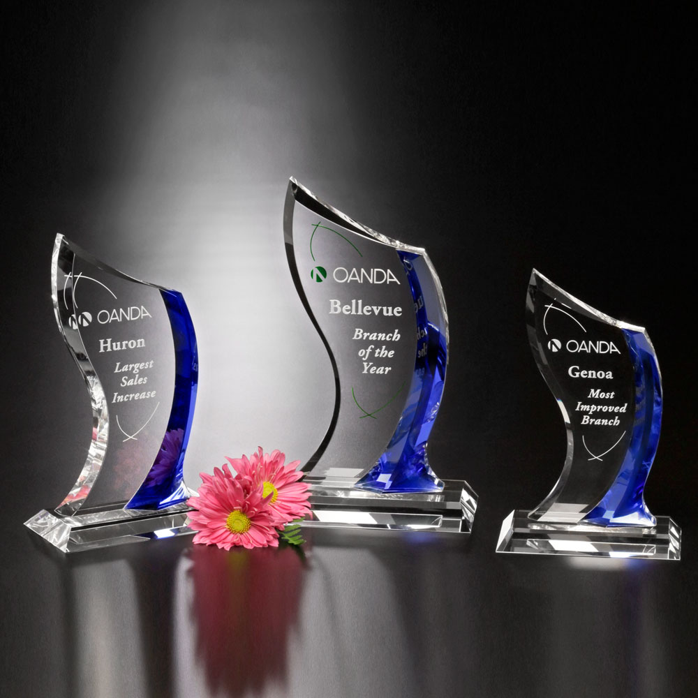 Potomac Indigo Award 10