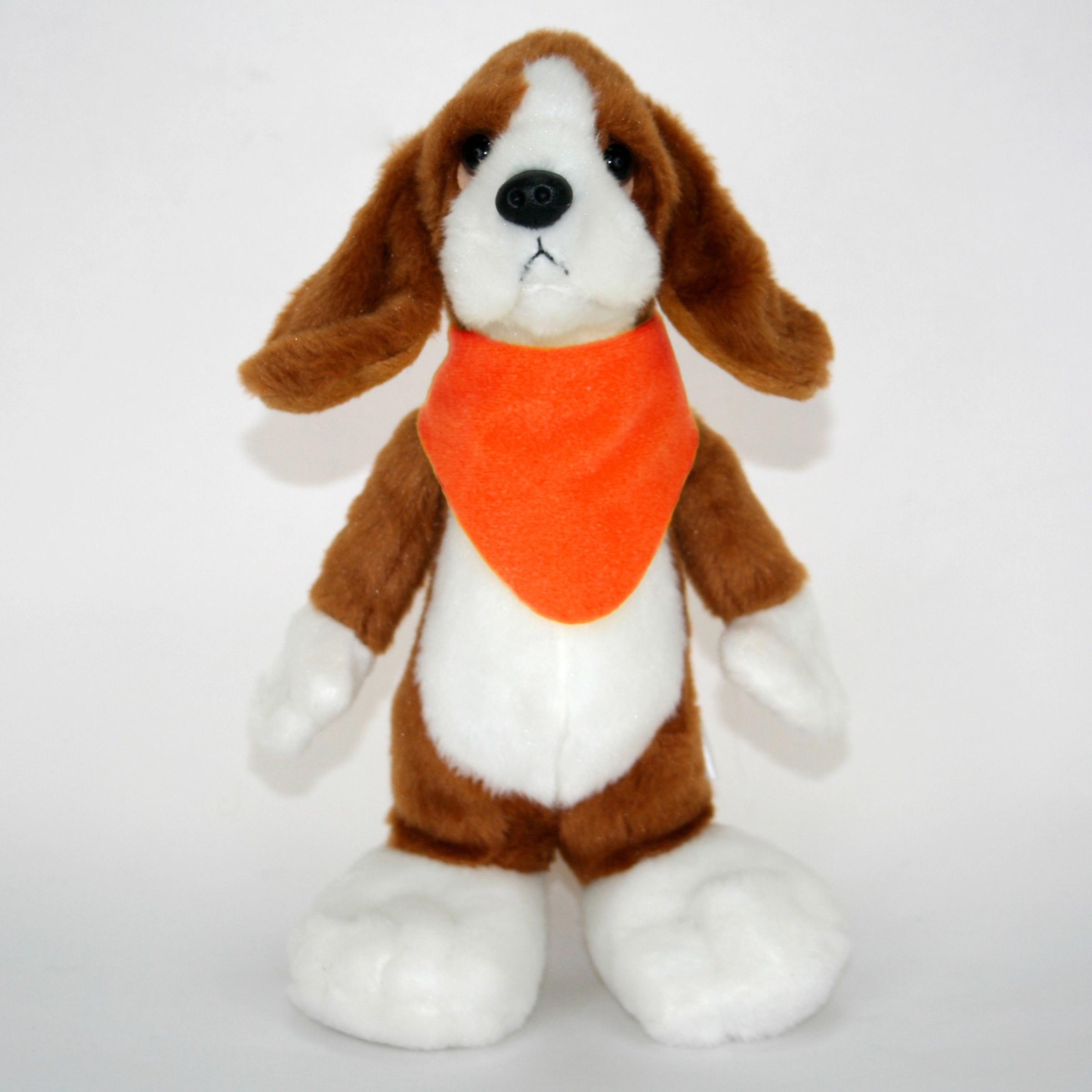10" Long Body Beagle 8