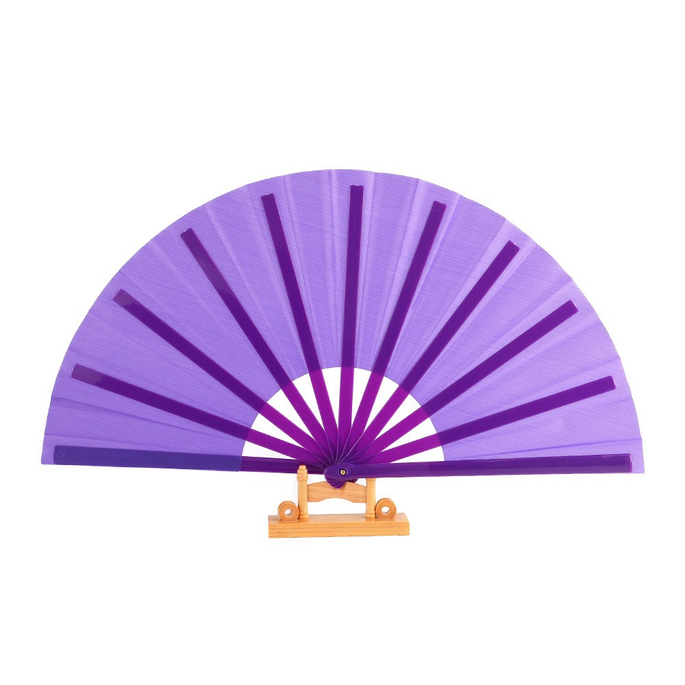 Pride Rainbow LGBT Fan 2