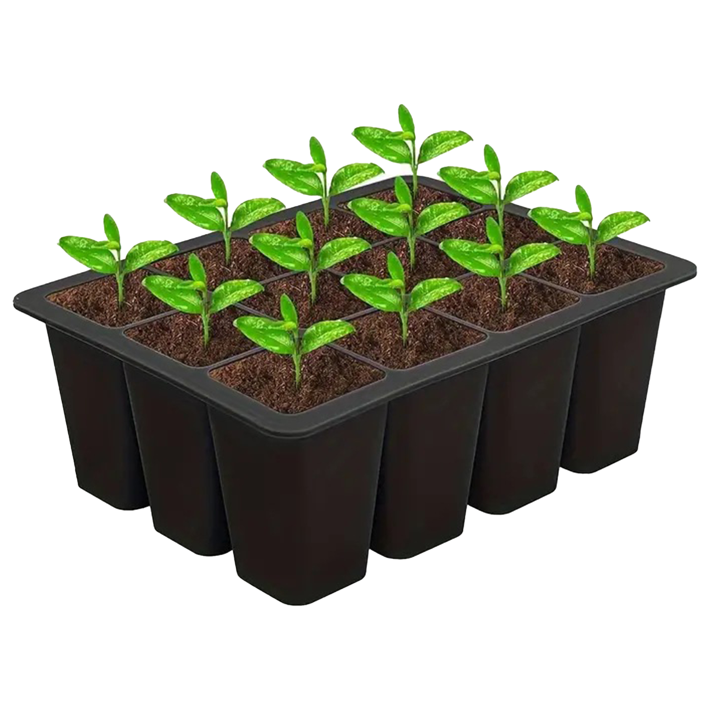 Silicone Anti Drop Durable Seedling Pot 4