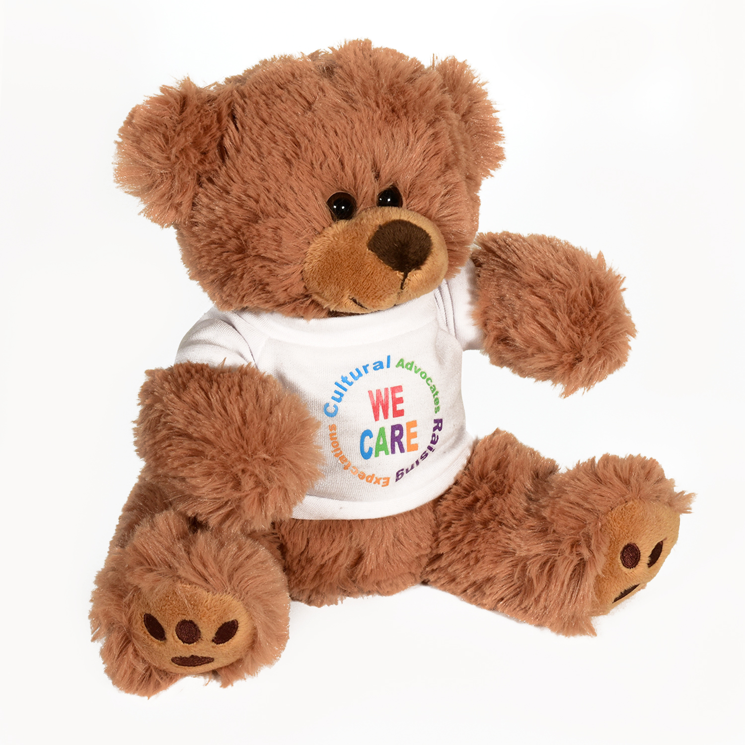 Plush Bear w/ Embroidered Paws and T-Shirt 8