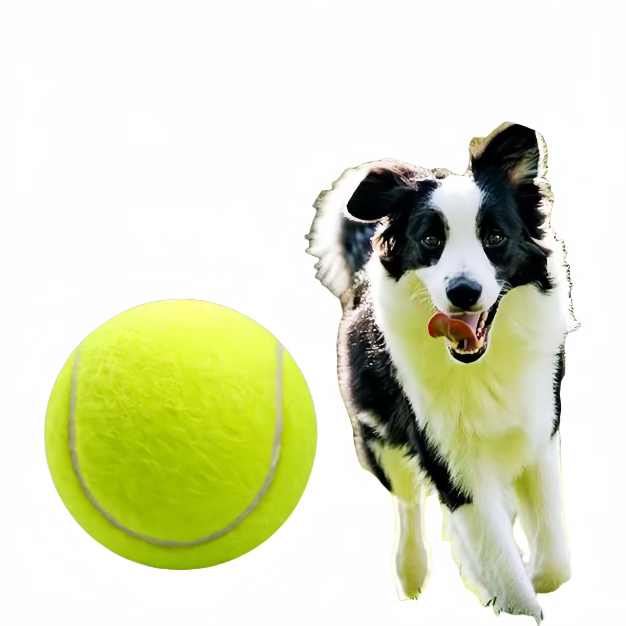 Outdoor Elastic Pet Tennis Ball 2