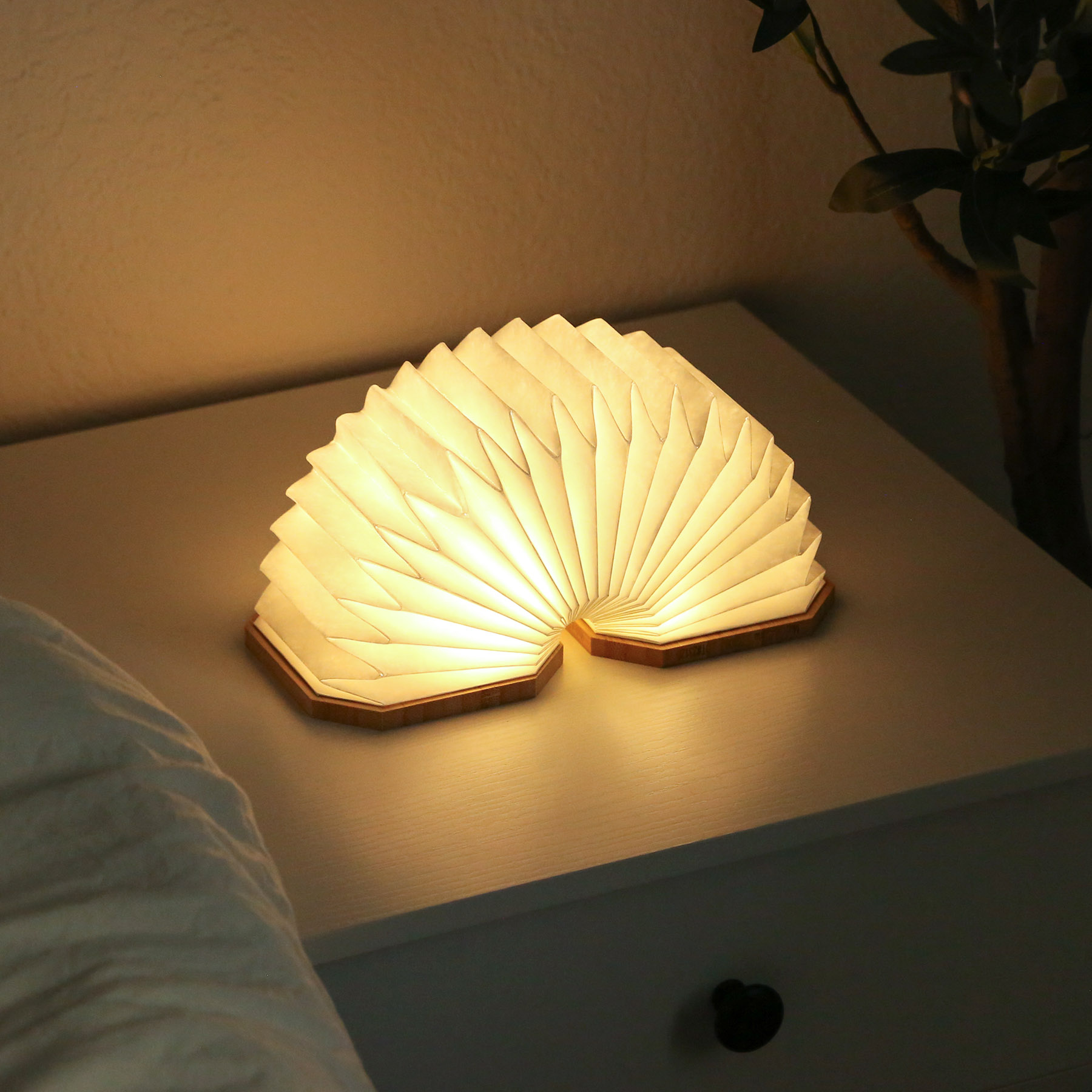 Accordio Light 6