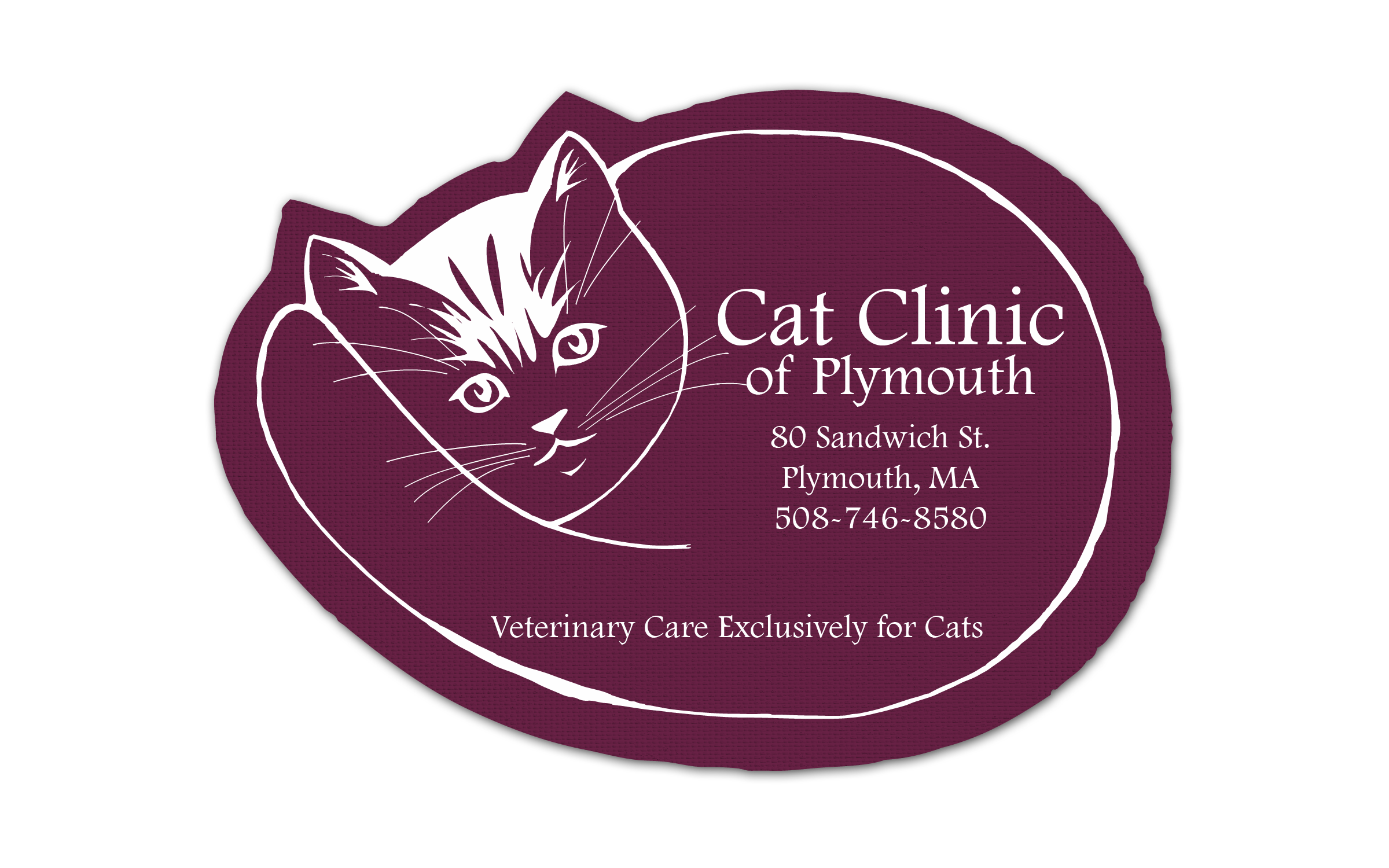 Cat Vinyl Jar Opener 12